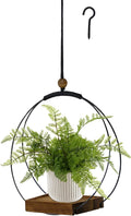 4 Pack Hanging Planters for Indoor Plants,Plant Hanger with Sturdy Wood Base,Modern Boho Macrame Plant Hanger,Wall Ceiling Window Stands(Plants/Pots Not Included)