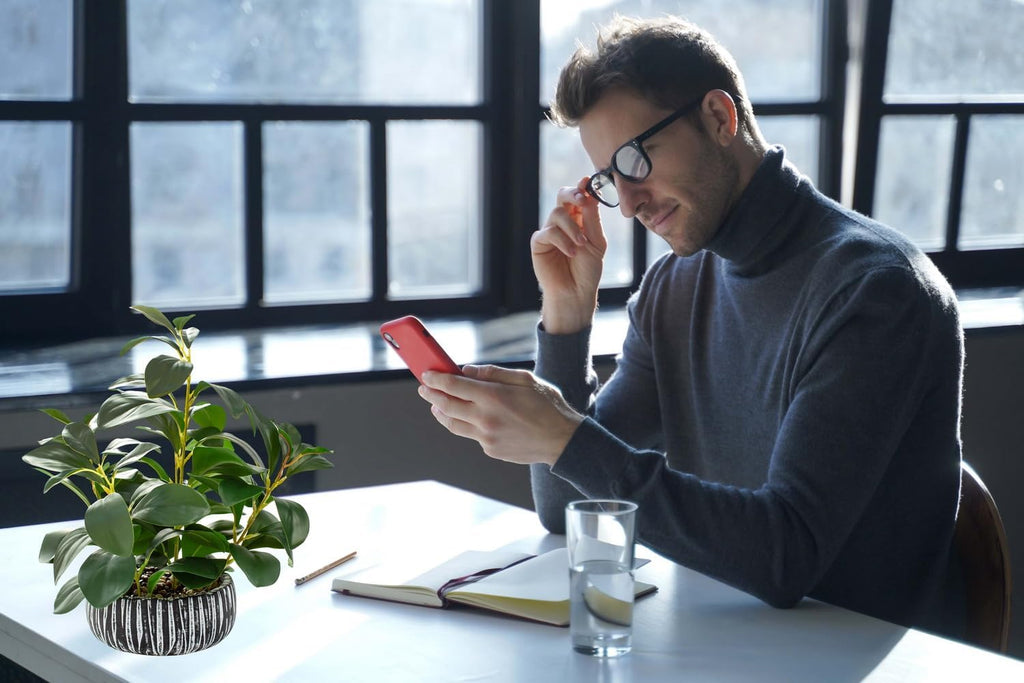 AlphaAcc Artificial Succulents Plants Decor Greenery Fake Succulents Indoor Potted Fake Plant with Rustic Black Clay Planter for Farmhouse Room Bathroom Bedroom Kitchen Office Dese Coffee Table Decor