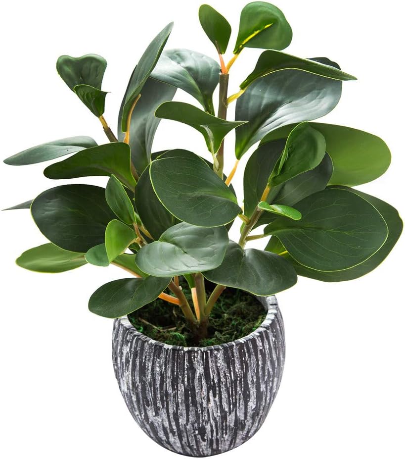AlphaAcc Artificial Succulents Plants Decor Greenery Fake Succulents Indoor Potted Fake Plant with Rustic Black Clay Planter for Farmhouse Room Bathroom Bedroom Kitchen Office Dese Coffee Table Decor