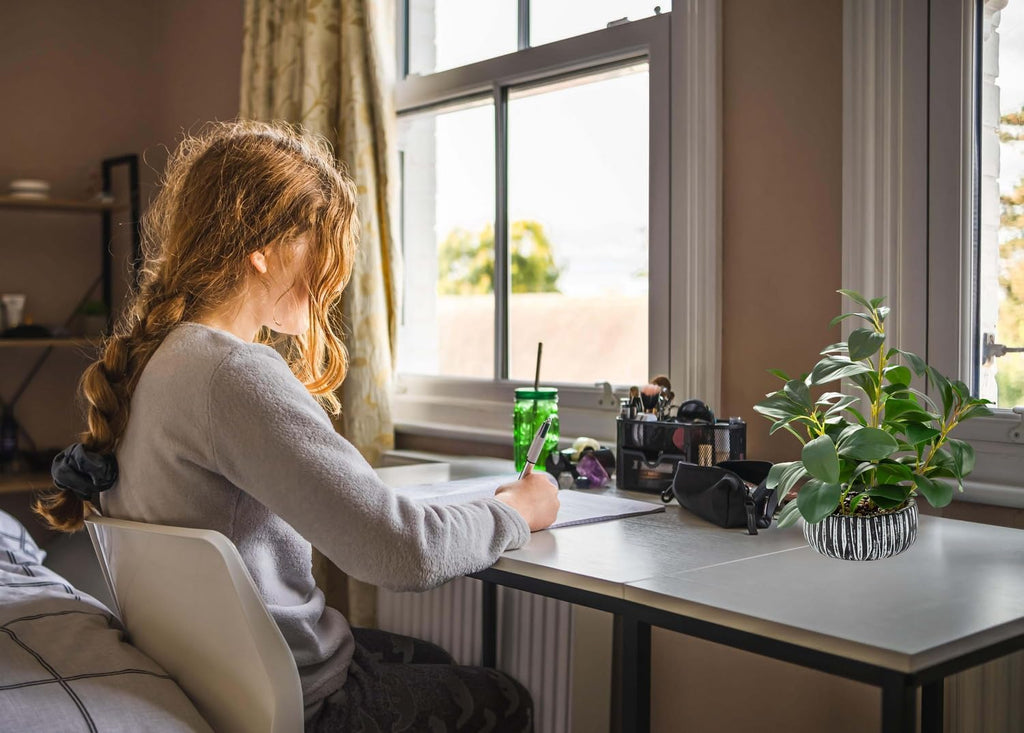 AlphaAcc Artificial Succulents Plants Decor Greenery Fake Succulents Indoor Potted Fake Plant with Rustic Black Clay Planter for Farmhouse Room Bathroom Bedroom Kitchen Office Dese Coffee Table Decor