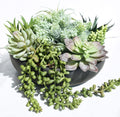 Winlyn 9" Artificial Succulent Arrangement Succulent Plants in Black Round Planter Faux Potted Succulents for Home Office Bedroom Kitchen Bathroom Table Centerpiece Windowsill Shelf Mantel Decor