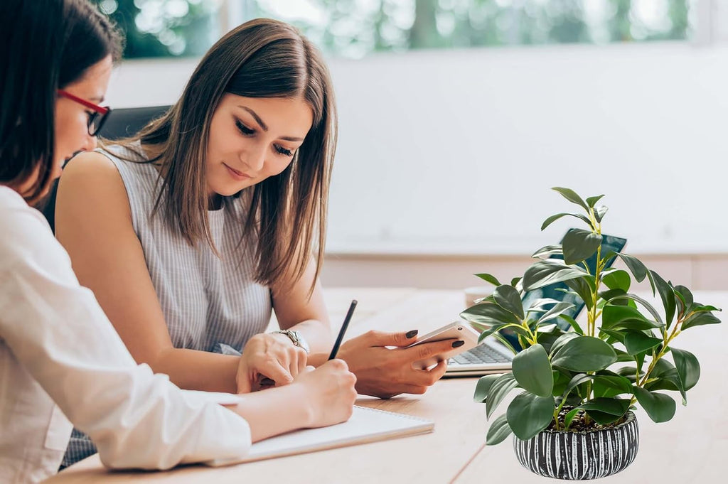 AlphaAcc Artificial Succulents Plants Decor Greenery Fake Succulents Indoor Potted Fake Plant with Rustic Black Clay Planter for Farmhouse Room Bathroom Bedroom Kitchen Office Dese Coffee Table Decor