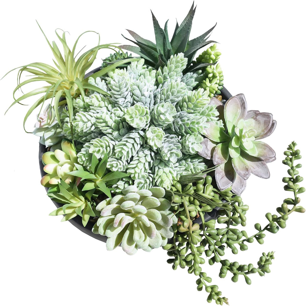 Winlyn 9" Artificial Succulent Arrangement Succulent Plants in Black Round Planter Faux Potted Succulents for Home Office Bedroom Kitchen Bathroom Table Centerpiece Windowsill Shelf Mantel Decor